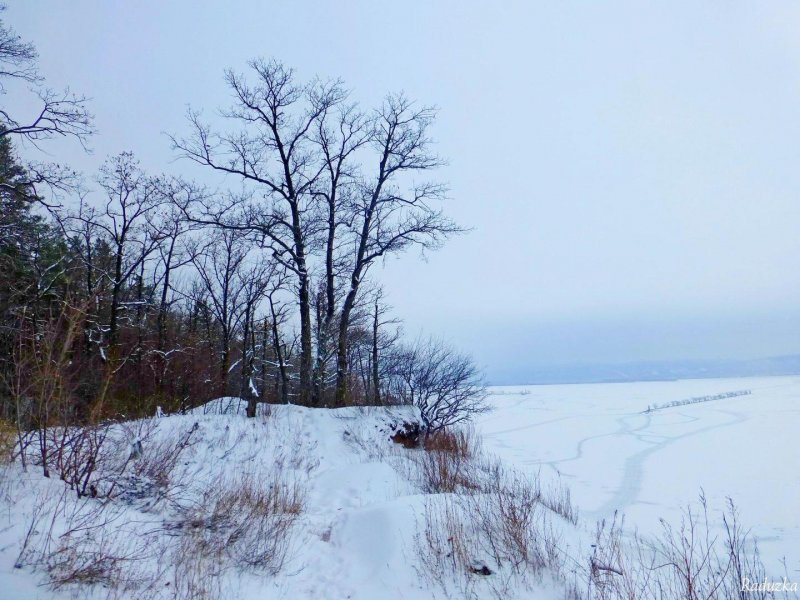 Волга река зимой берег
