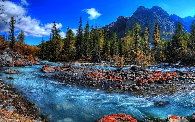 Река Мажой горный Алтай