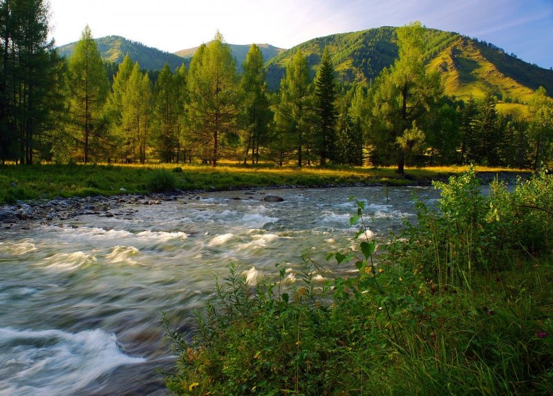 Река Актру горный Алтай