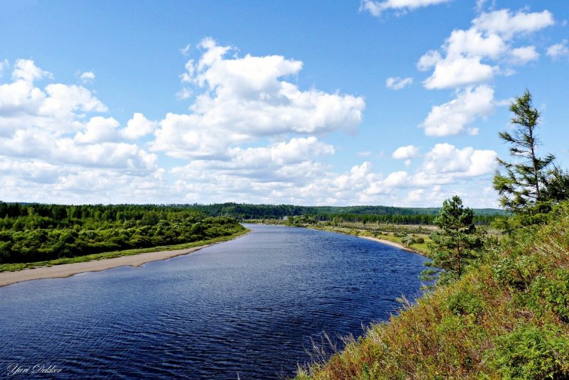 Река Зея Амурская область природа