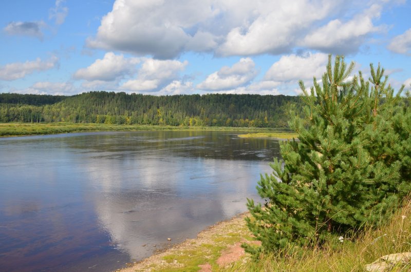 Река Сухона Вологодской