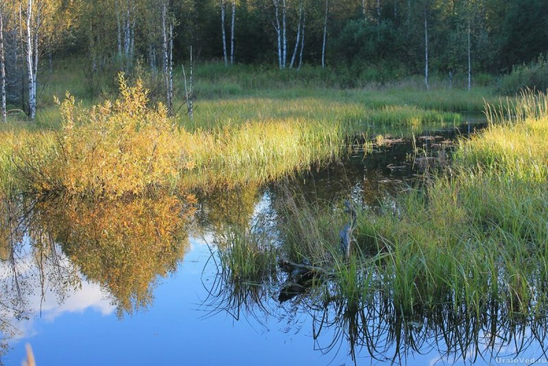 Южный Урал природа река белая