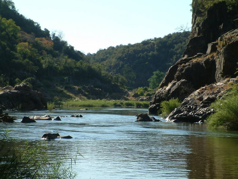 Национальный парк Крюгера в Африке