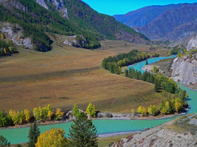 Долина реки Чуя, горный Алтай.