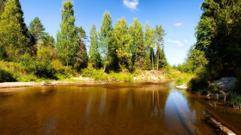 Заводь реки Керженец