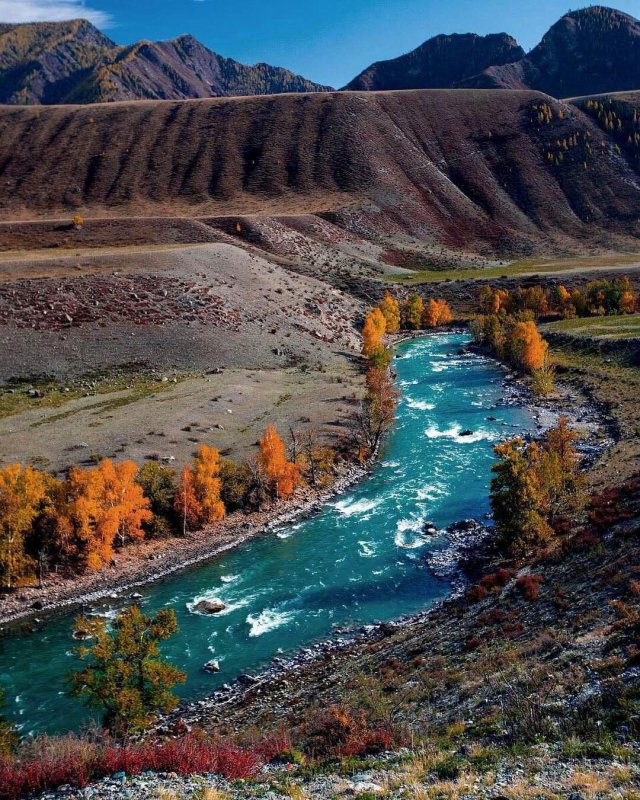 Реки горного Алтая Чуя и Катунь