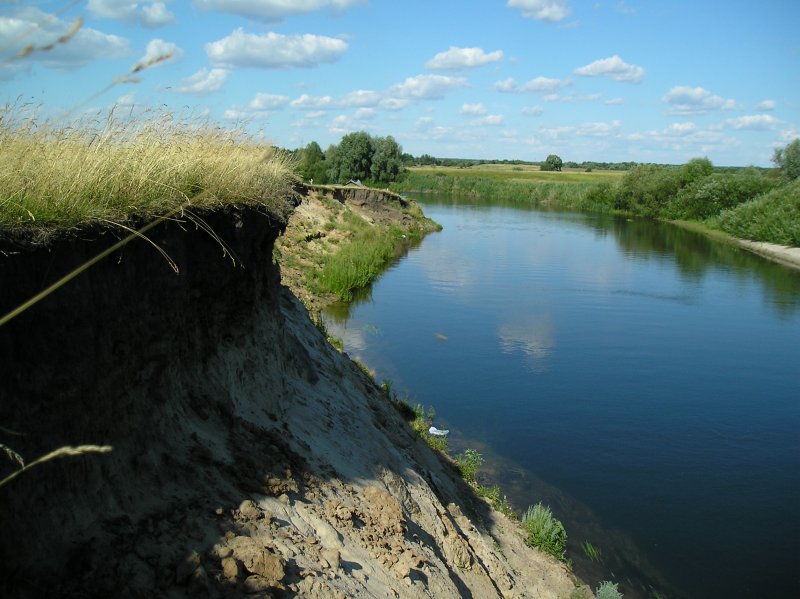 Река Сейм Коренево