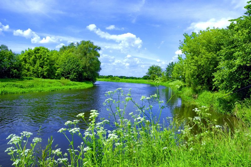 Лето река