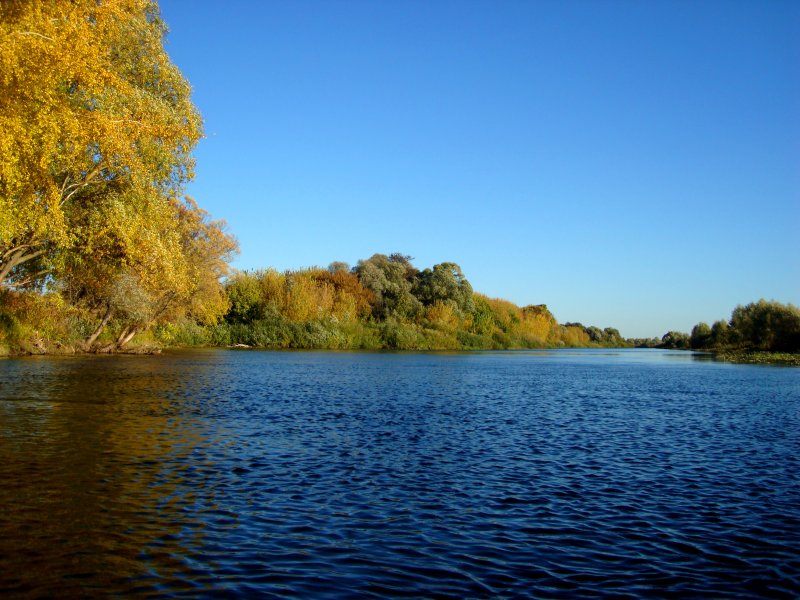 Река Сейм в Мантурово