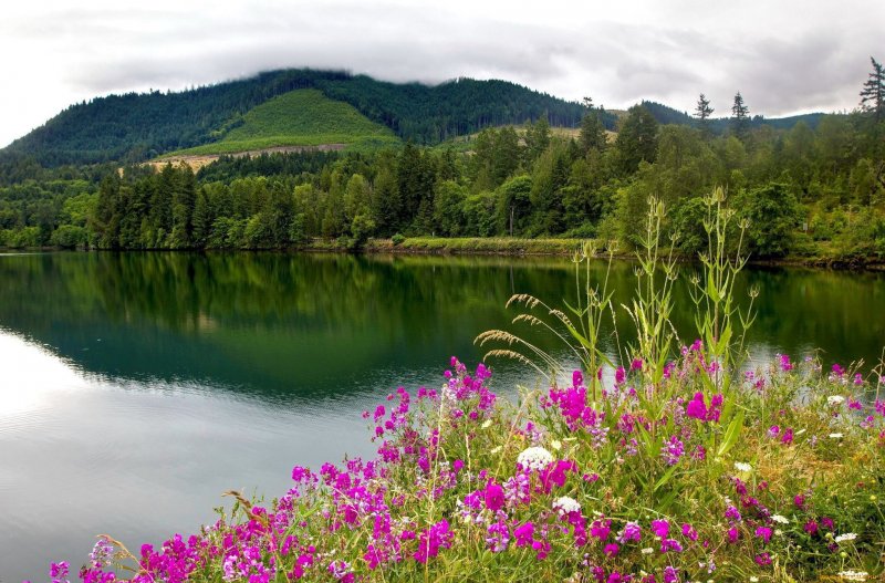Озеро лес Башкирия