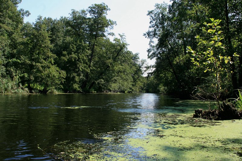 Река Дон Нововоронеж