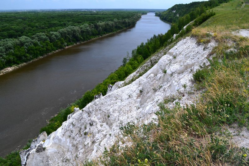Река Дон Кривоборье