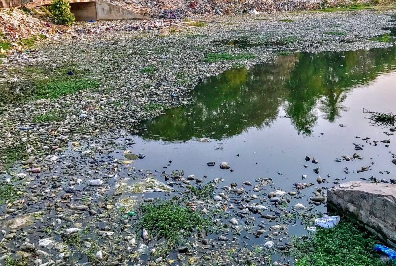 Загрязненная река Арчеда