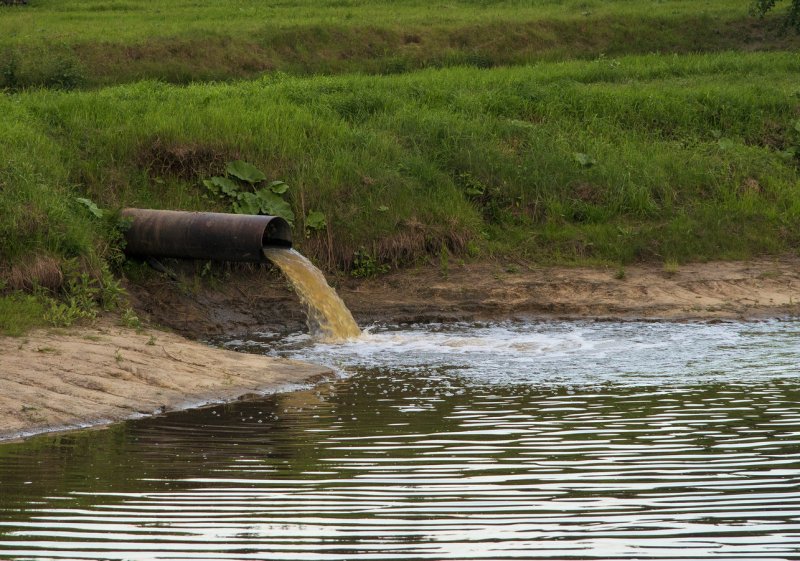 Загрязнение водоемов река Охта