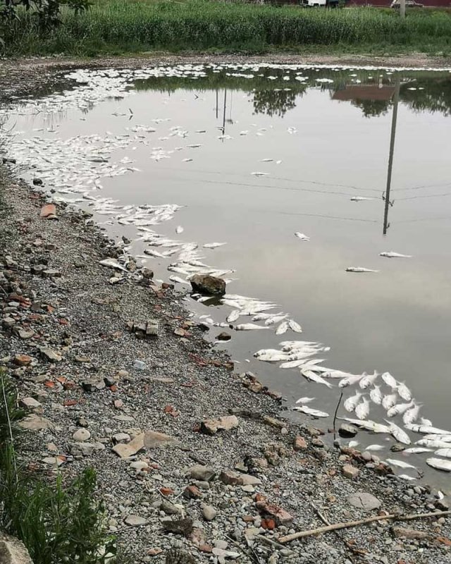 Загрязненная речка Миасс