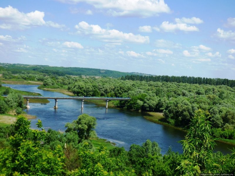 Река семь Курская область