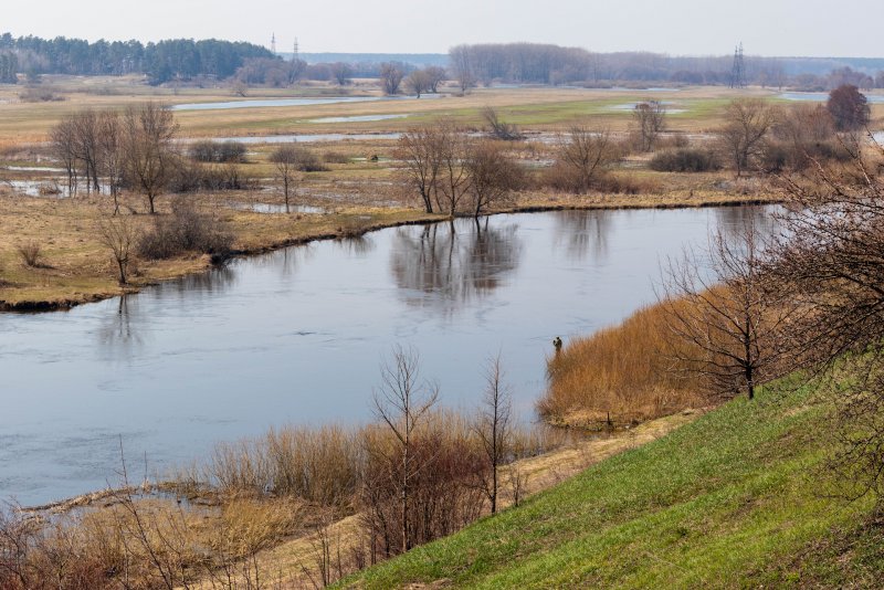 Водные богатства Курской области река Сейм