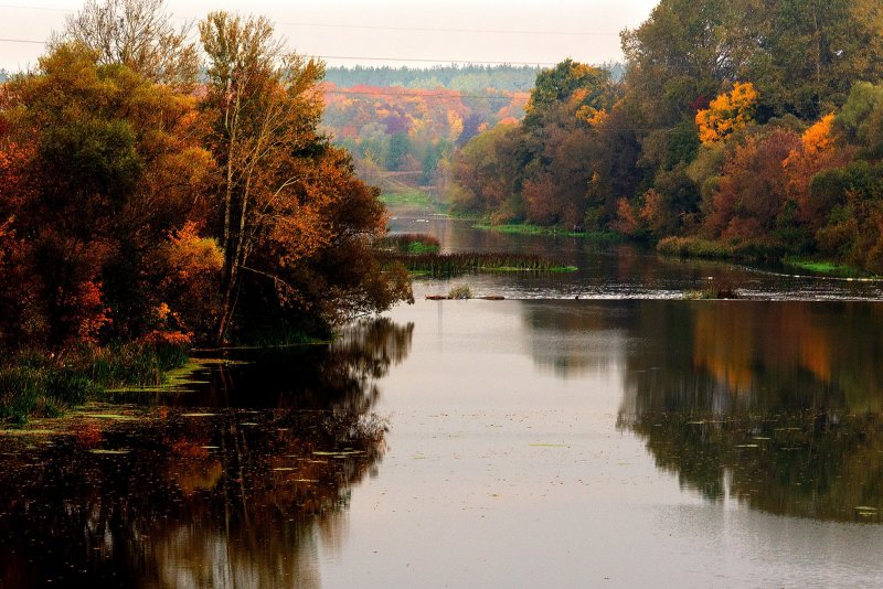 Осень река Сейм Курск