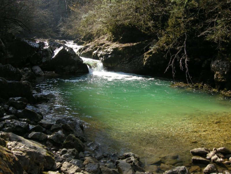 Кавказ река Агурчик
