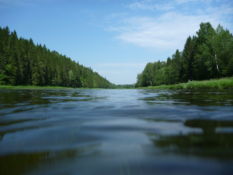 Река белая осень Усолье-7