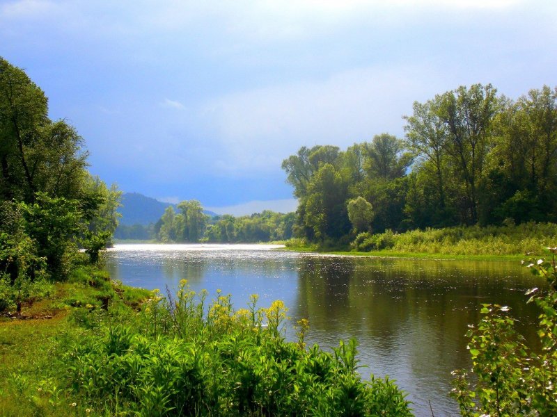 Природа река Инзер