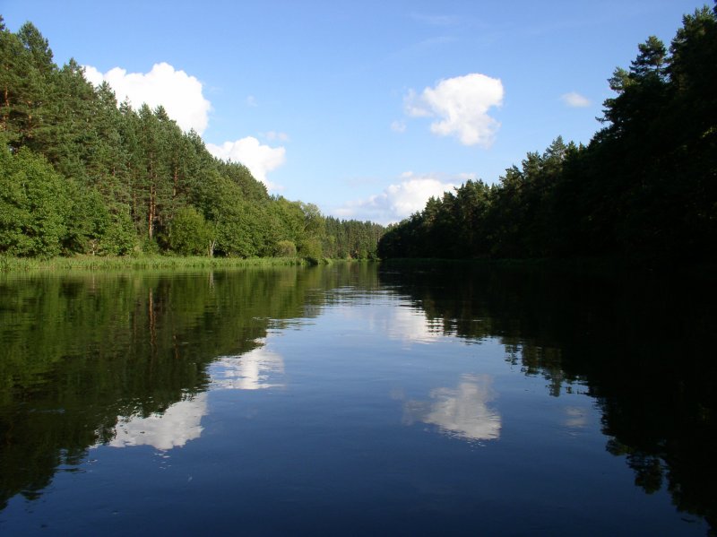 Река Вилия в Беларуси
