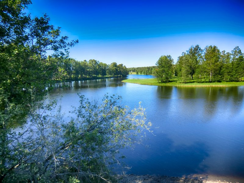 Лесные озера Белоруссия