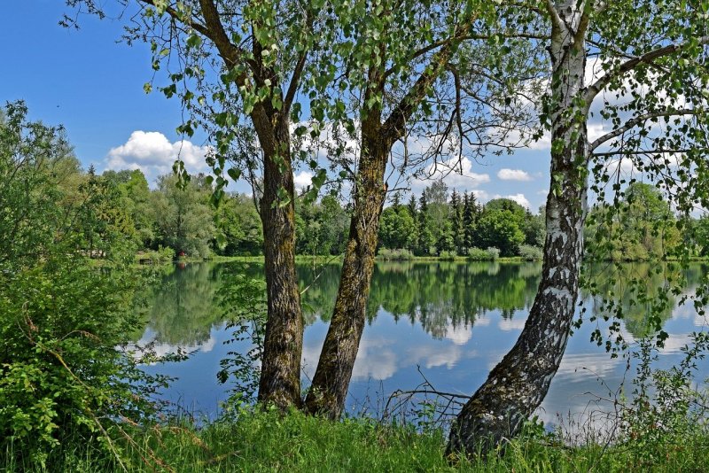 Озеро Березка Ивановская область