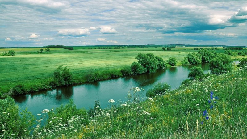Река Волга лесостепь