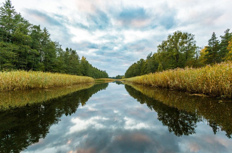 Река Шижня Ленинградской области