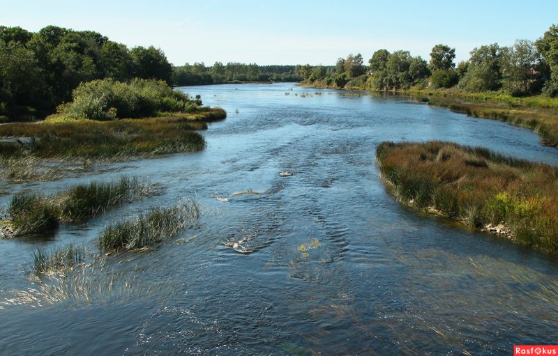 Река Луга Лужский район
