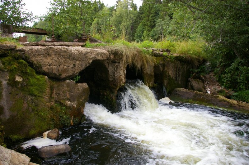 Река Луга в Ленинградской области