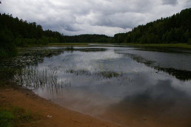 Река Луга Батецкий район
