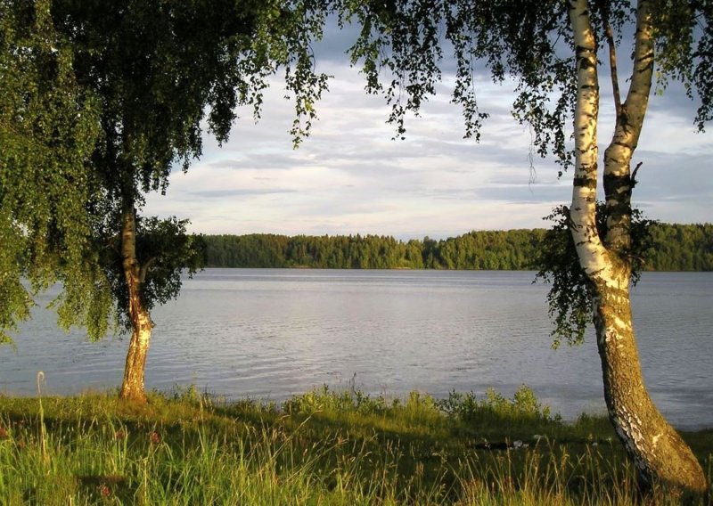 Природа Ивановской области река Волга