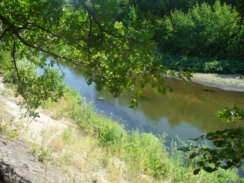 Река ворона город Уварово Тамбовской области