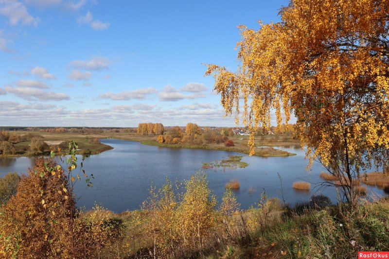 Река Сунжа Ивановская область