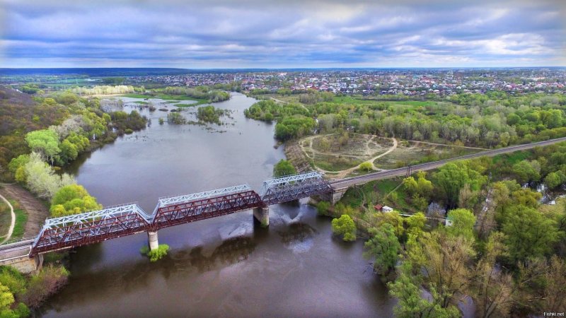 Река ворона Тамбовской области на мосту
