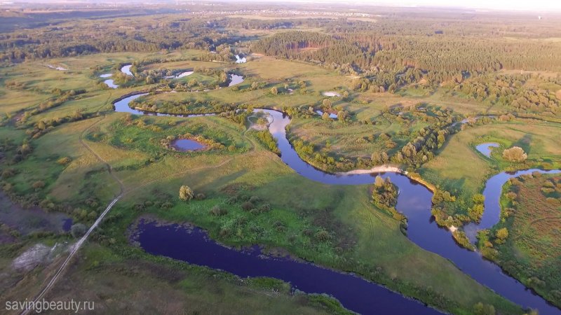 Река ворона в Воронежской области