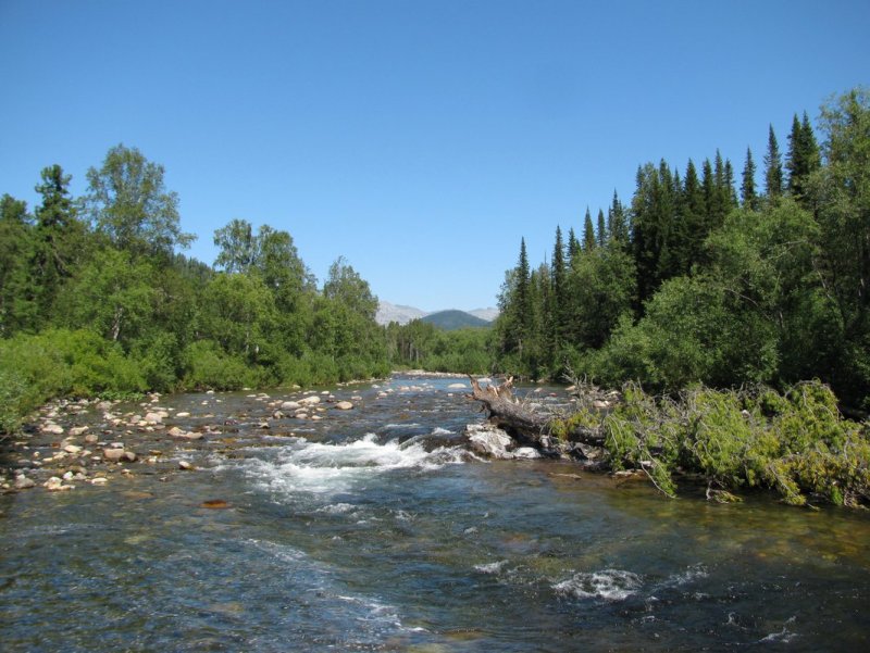 Река малый Казыр Кузнецкий Алатау
