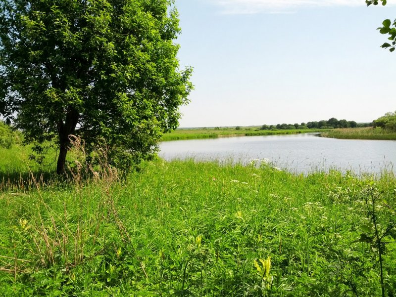 Озера в Гагаринском районе Смоленской