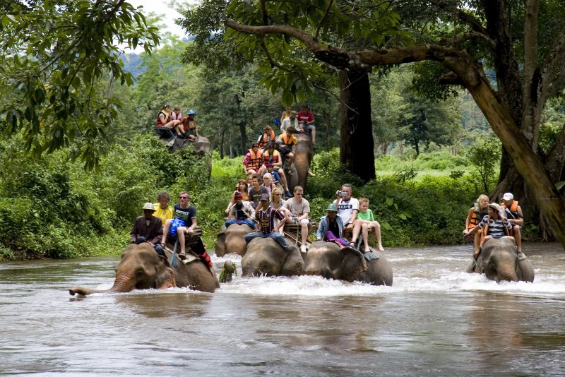 Река Квай Таиланд обитатели