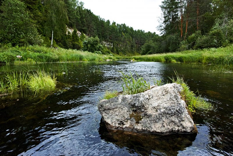 Река держа Зубцовский район Тверская область