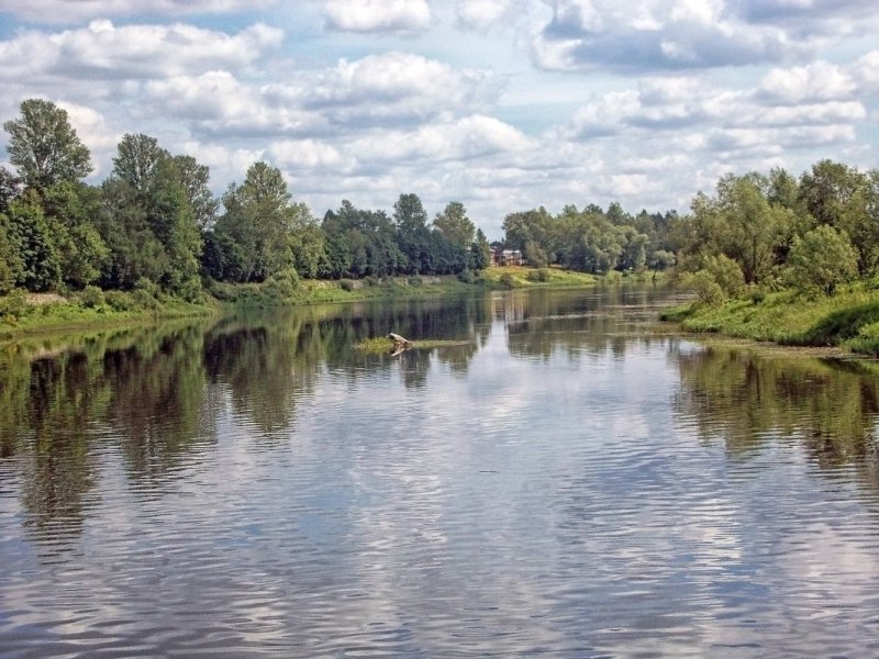 Река Мста Боровичи
