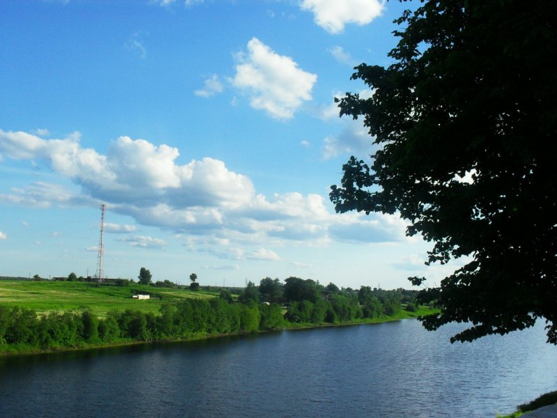 Река Оскуя Новгородская область