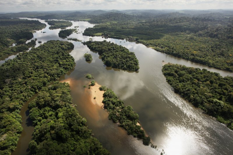 Бассейн амазонки Бразилия