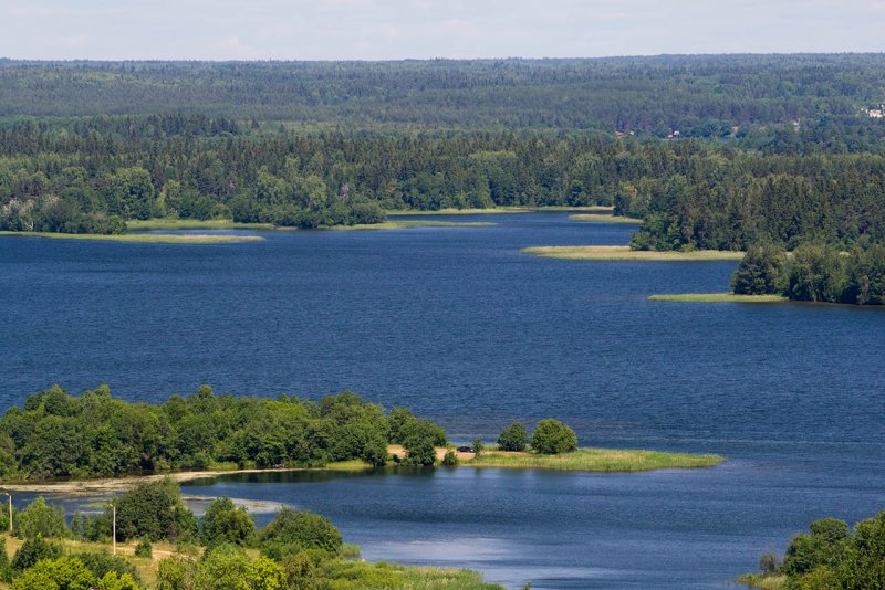 Шелонь река Великий Новгород