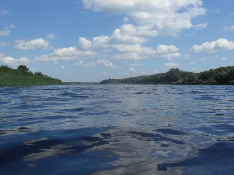 Река Шелонь Псковская область