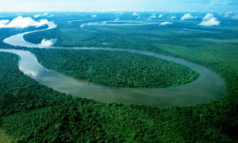 Южная Америка бассейн амазонки