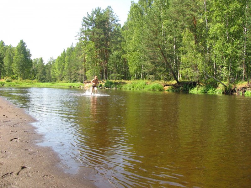 Река Мста в Маловишерском районе
