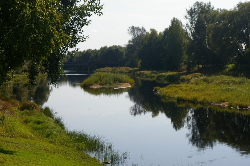 Река Шелонь